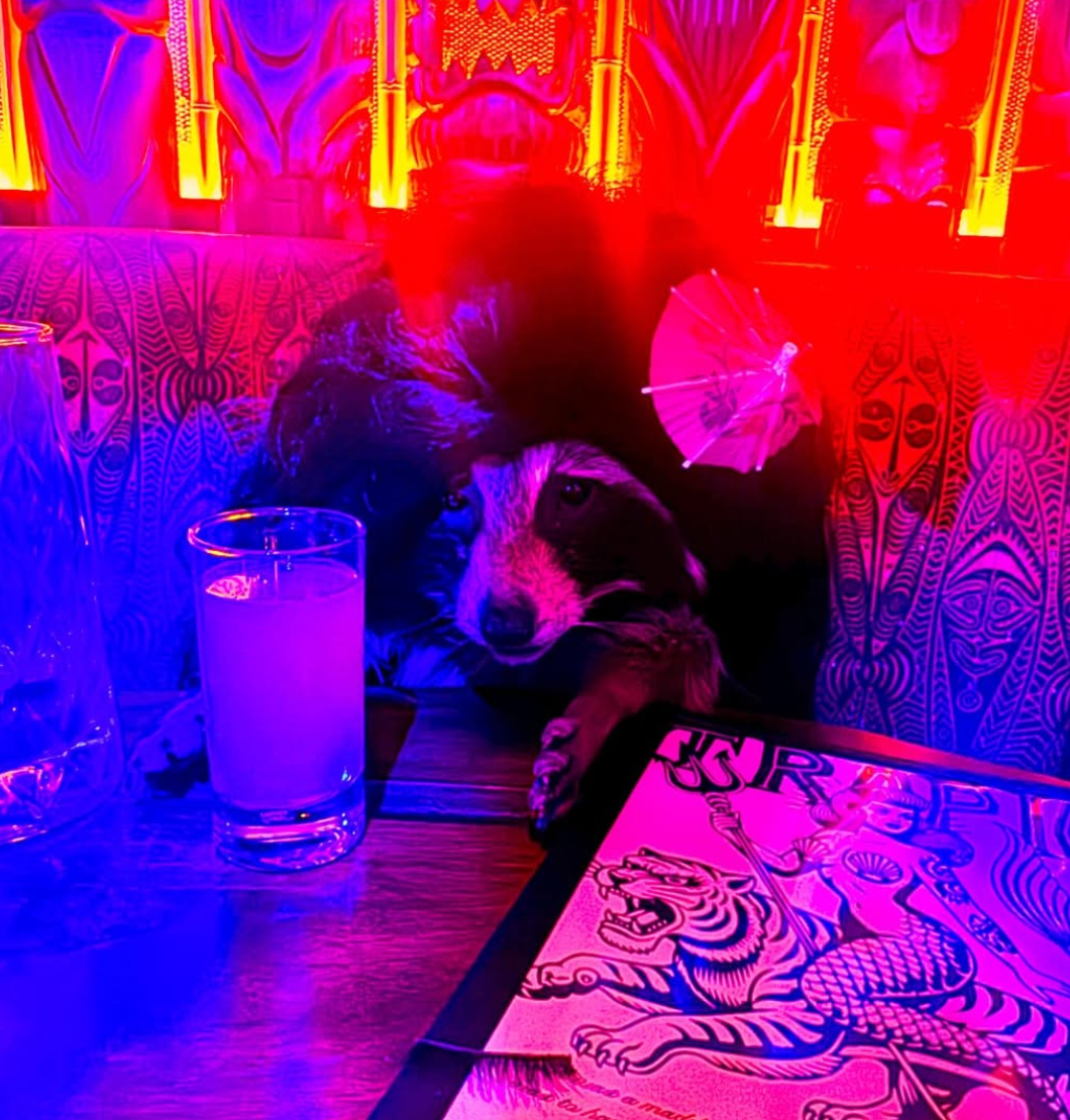 Neon vibes at the bar